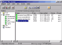 Screenshot of Magic Recovery Professional